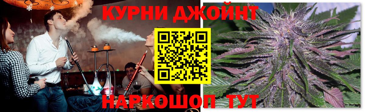Можга  Канабис сатива  Вход с VPN  Бошки Шишки планчик 
